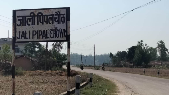 धनगढीमा चोरहरुको बिगबिगी, बाख्रा चोरेपछि खोर रित्तै