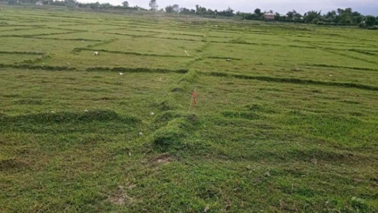 ७० हजार हेक्टर खेत बाँझै