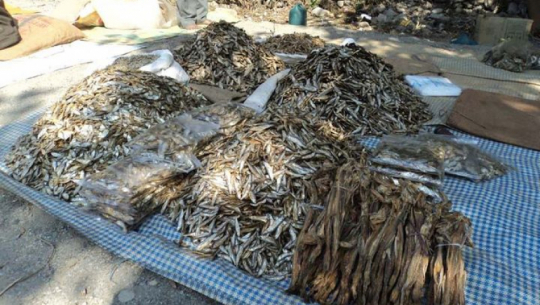 कैलालीबाट भन्सार छलीका सिद्रा माछालगायतका सामान बरामद