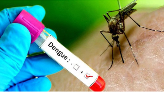 सुदूरपश्चिममा डेङ्गुबाट तीन वर्षमा सात हजारभन्दा बढी प्रभावित