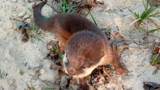 Photo: Rajiv Chaudhary