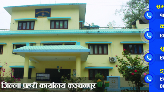 Two Arrested with Drugs in Kanchanpur; Seizures Made in Punarwas Municipality