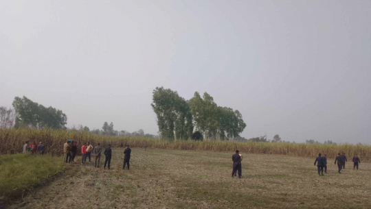 Tiger Sighting Sparks Panic in Belauri Municipality of Kanchanpur