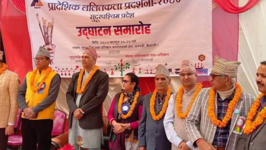 Regional Fine Art Exhibition Commences in Dhangadhi