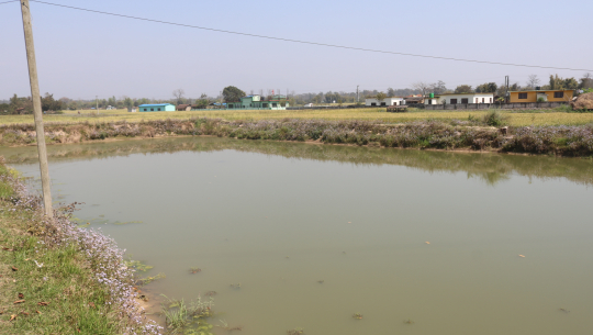 धनगढीमा अध्यक्षबाटै तालको पैसा पाउन विद्यालयलाई सकस