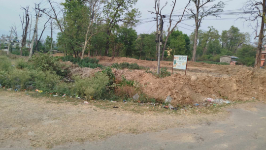 Illegal leasing of a community forest in Attariya for Rs 10,000 a year