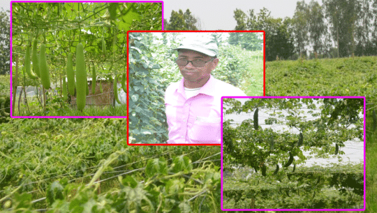 कञ्चनपुरको कृष्णपुरका ‘हरिराम’ले तरकारी बिक्रीबाटै बनाए अत्तरियामा घर