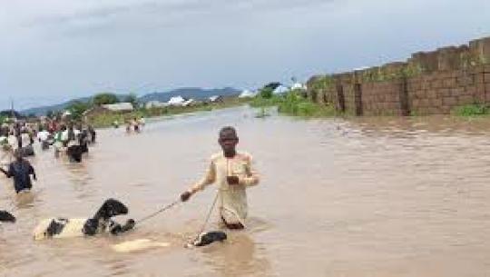 बाढीका कारण नाइजेरियामा १७० जनाको मृत्यु