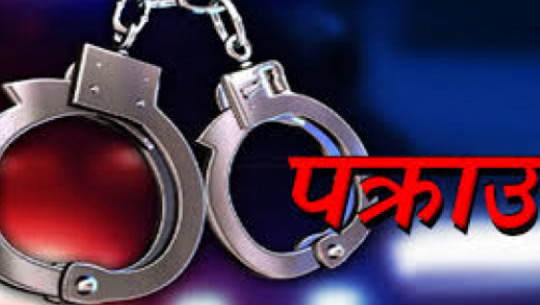 Three individuals from Achham arrested for timber cutting and transportation case