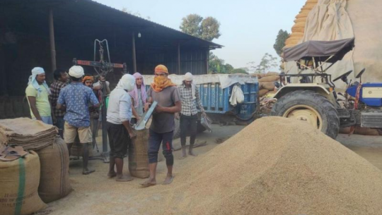 साढे ६८ हजार हेक्टरमा गरिएको धानखेतीबाट ३ लाख मेट्रिकटन उत्पादन