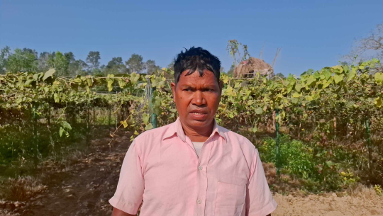 धनगढी–१९ का अर्जुनप्रसाद यसरी जमे व्यावसायिक परवरखेतीमा