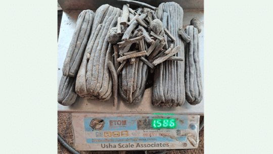 कञ्चनपुरमा १ किलोबढी चरेससहित बझाङका गमिलाल बोहरा पक्राउ