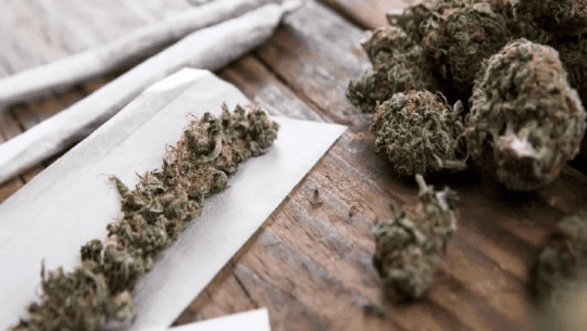 Eight arrested with cannabis in Kailali
