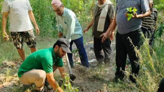 Vine conservation campaign launched in Beldandi to promote environment and heritage