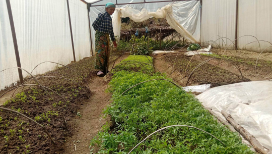 गैराको घण्टेश्वर बीउ बैँक वार्षिक एक करोड १५ लाखको कारोबार गर्दै