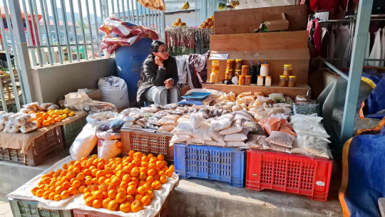 धनगढीमा गायिका कृष्णा सिराडी पहाडको अर्गानिक उत्पादन बिक्री गर्दै