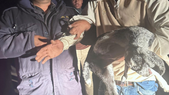 Locals capture goat thief and hand him over to police in Kailali