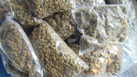 कैलालीमा गाँजा र खैरो हेरोईनसहित २ जना पक्राउ 