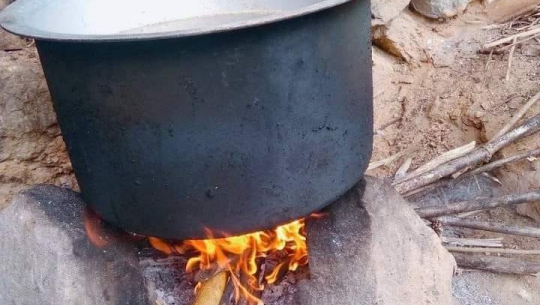 कैलालीमा कुडोमा जलि एक महिला घाइते