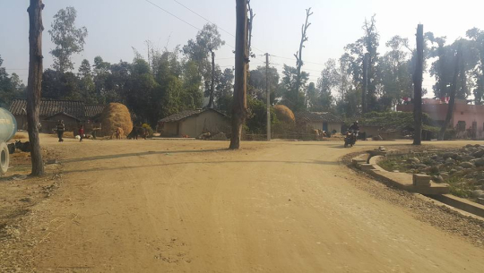 सघन सहरी विकास कार्यक्रम : धनगढीमा निर्माणाधिन सडकहरुमा रुख मुख्य बाधक