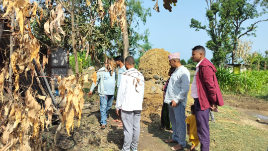 कैलालीका हंस र अर्जुनको गोठमा आगलागी