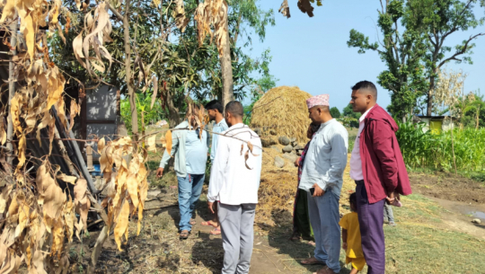 Fires damage livestock sheds in Kailali, three goats dead and property worth Rs 346,000 Lost