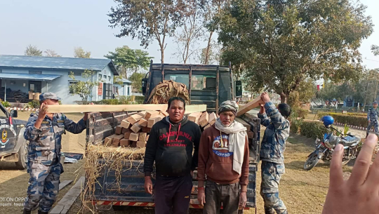 सशस्त्र प्रहरीद्धारा सालको काठ सहित दुईजना पक्राउ