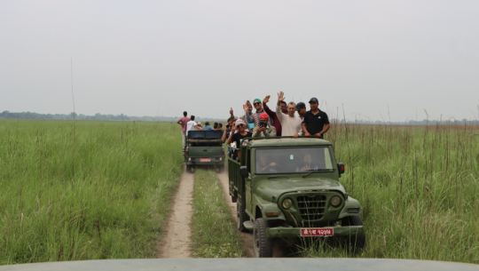 Shuklaphanta National Park reopens jungle safari for tourists