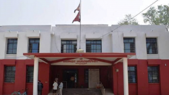 Chure conservation network launches environmental protection programs in Bhimdatta and Bedkot