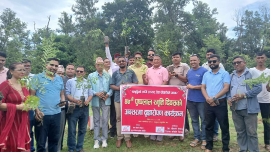 पुष्पलाल श्रेष्ठको स्मृति दिवसमा कैलालीमा वृक्षारोपण