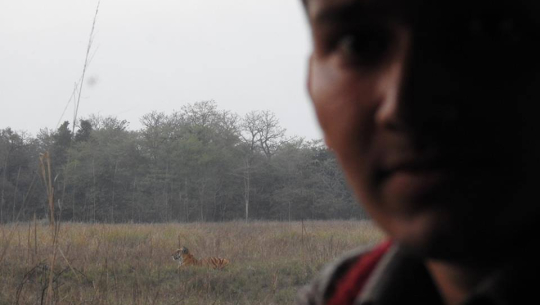 Selfie with tigers at Shuklaphata