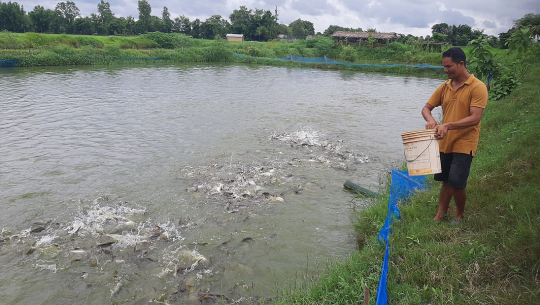 माछापालनबाट मनग्य आम्दानी गर्दै कृषक चौधरी