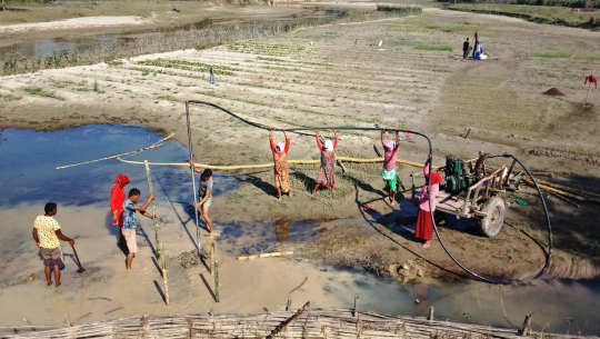 फाइल फोटो