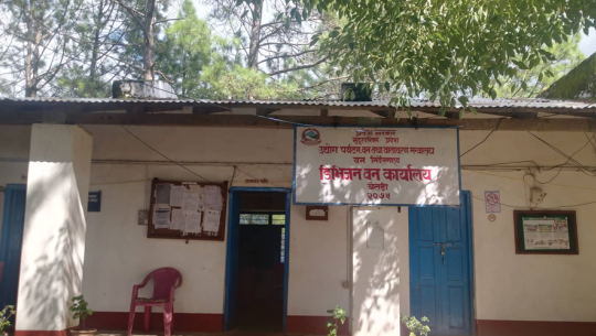 बैतडीका वनबाट तीन लाख किलो जडीबुटी निकासी