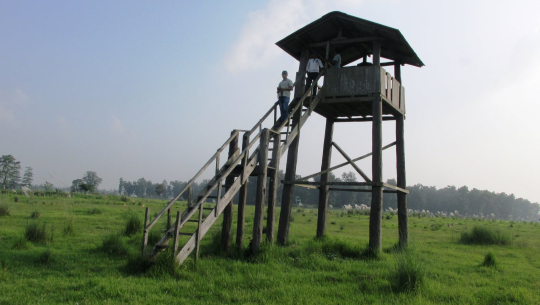 शुक्लाफाँटा राष्ट्रिय निकुञ्जमा जङ्गल सफारीका लागि रुट कायम