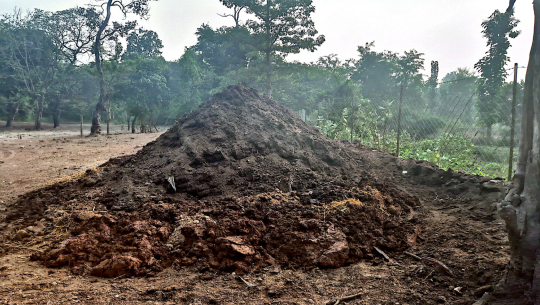 प्राङ्गारिक मलको प्रयोगले माटोको उर्वराशक्ति बढ्यो 