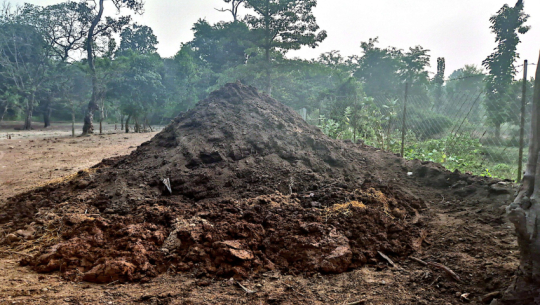 Use of organic fertilizers boosts soil fertility and crop production in Kanchanpur