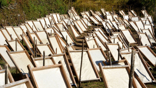 बजारीकरणकाे समस्याले  नेपाली हाते कागज उद्योगहरु संकटमा