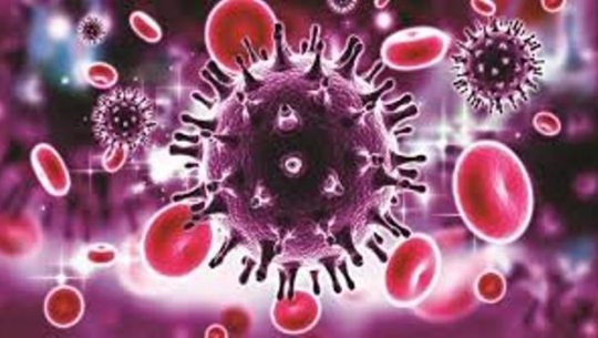 भारतमा २३ नेपालीको मृत्यु, ९३ प्रतिशत सङ्क्रमणमुक्त