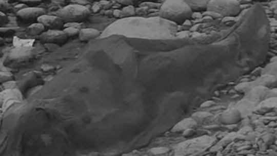 बझाङमा एक युवतीको सेती नदीमा बगेर मृत्यु