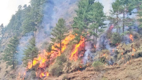 बाजुरामा जङ्लमा लागेको आगोबाट एक घरमा आगलागी 