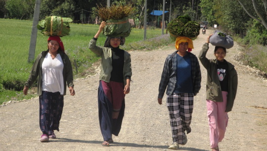 थारु बस्तीमा बढ्यो माघीको चहलपल