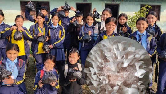 कञ्चनपुरको एक विद्यालयमा प्रयोगात्मक अभ्यास अन्तर्गत गरियो च्याउ खेती