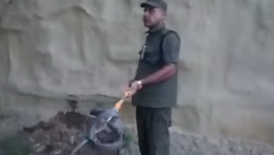 धनगढीमा घरभित्र पसेको सर्पको उद्दार