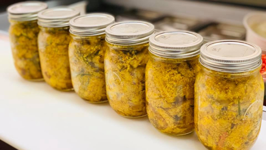 फाइल फोटो