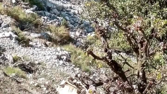 दार्चुलामा जिप दुर्घटना, सिँचाइका दुई कर्मचारीको मृत्यु