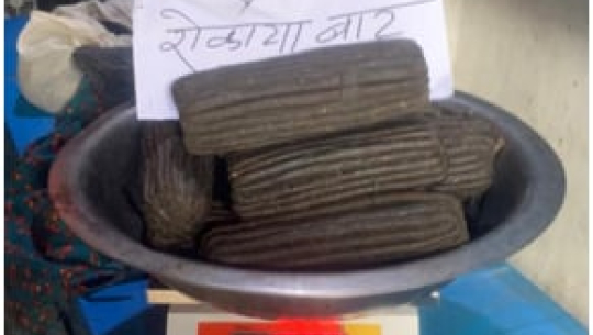 कञ्चनपुरबाट लागुऔषधसहित बझाङका दुई युवक पक्राउ