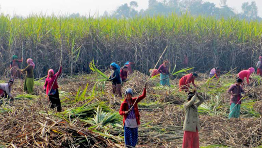 फाईल फोटो 