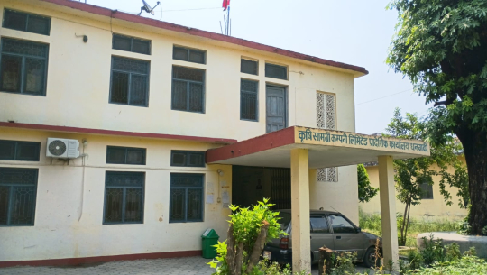 रोपाइँको सिजनमै कैलालीमा डिएपी मलको अभाव, किसानहरू समस्यामा