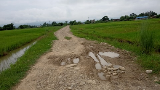 कैलालीको गौरीगंगा नगरपालिकाद्वारा सामुदायिक वनको बजेटमा गरिएको ग्रावेल देखाएर भुक्तानी